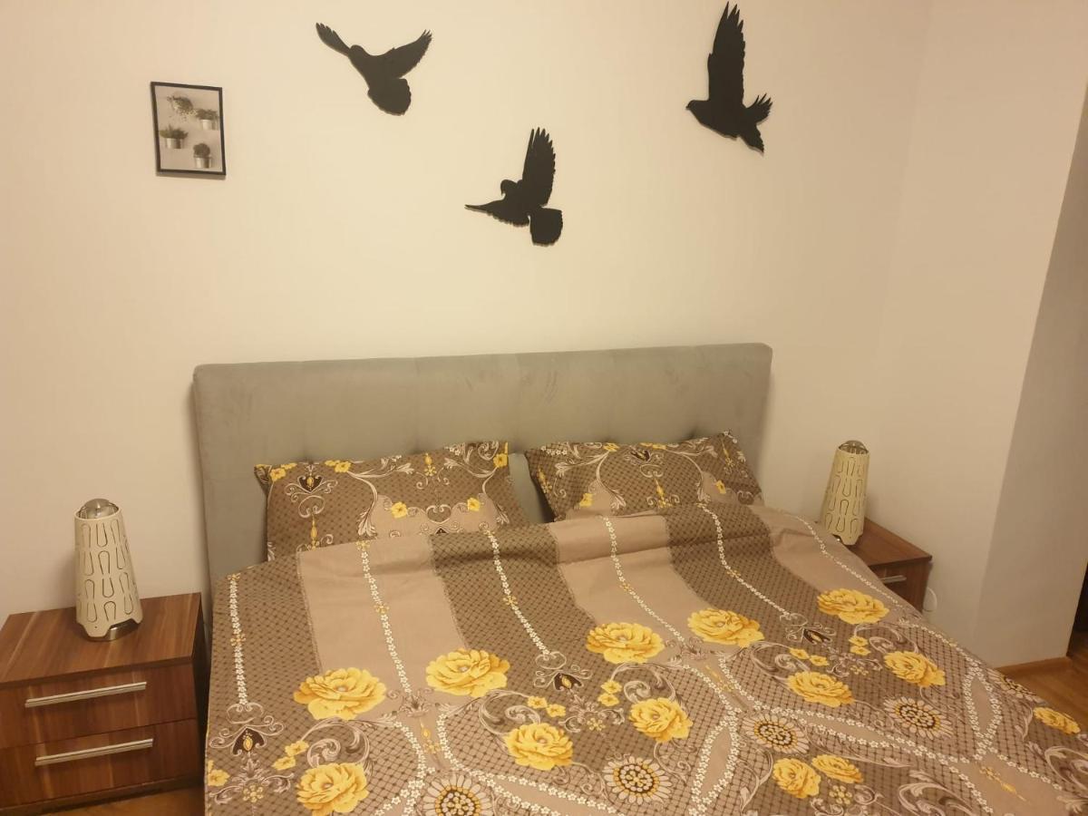 Lucky Residence II Braşov Buitenkant foto